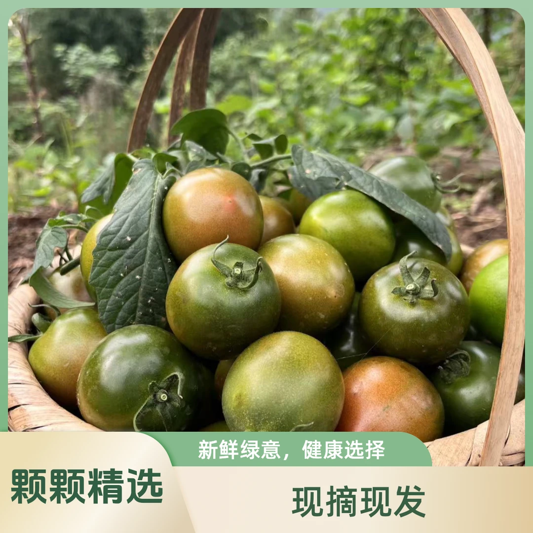 大山现摘本地老品种黑番茄即食花青素生态绿色蔬菜