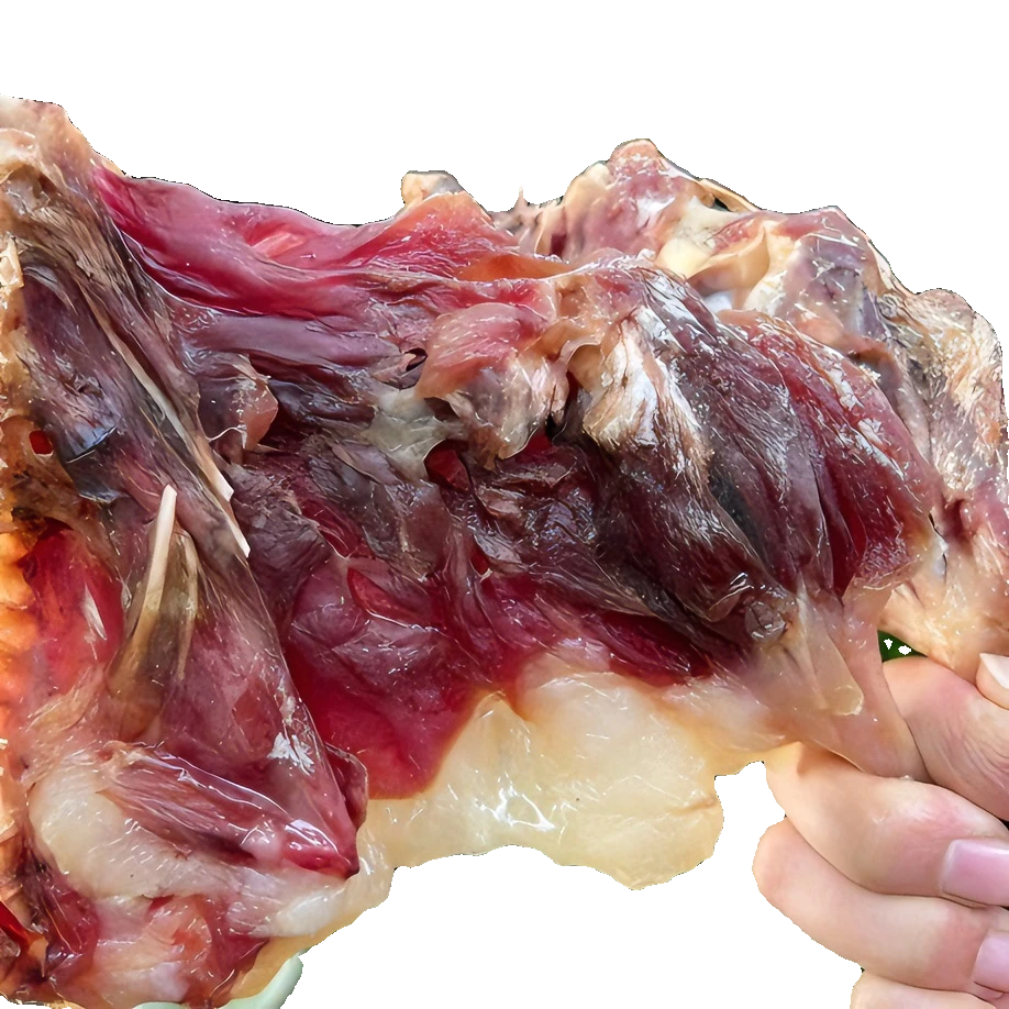 【舌尖上的佛山专属】风干咸香腊鸭腿200g/包