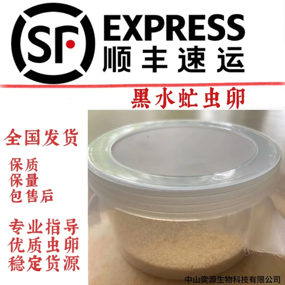 【老手专用】黑水虻虫卵批发，保质保量包售后，1公斤出2吨虫垂钓