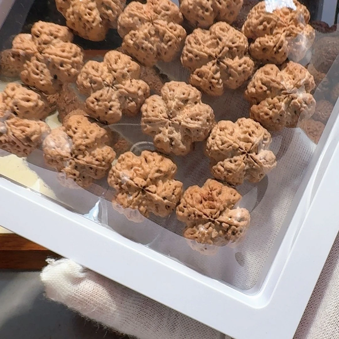 【闪购商品】金刚菩提手串九*