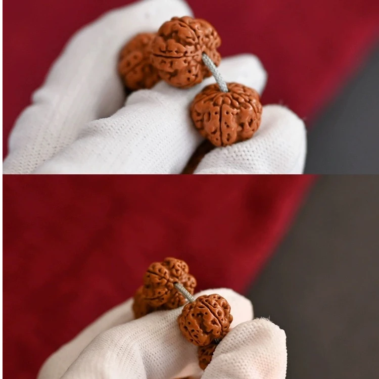 【江南一号梅花·正桩一点不歪】梅花毕业天花板精挑