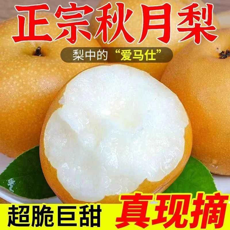 【坏果包赔】产地直发山东莱阳冰糖秋月梨带箱爆甜爆汁水果6