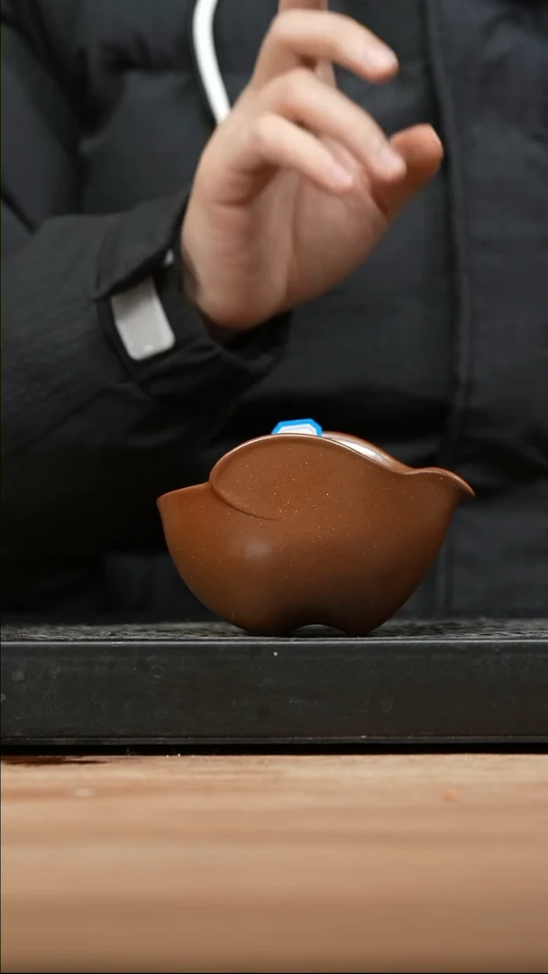 【闪购商品】紫砂茶壶69