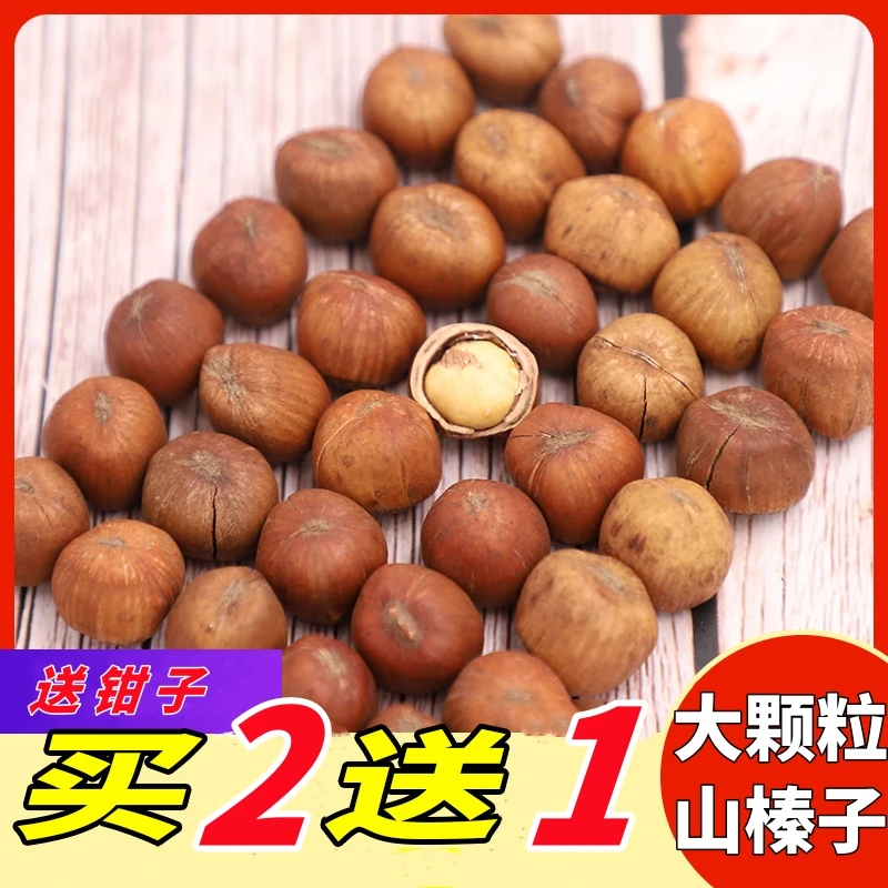 【专】东北特产铁岭山榛子大颗粒3斤  送钳子