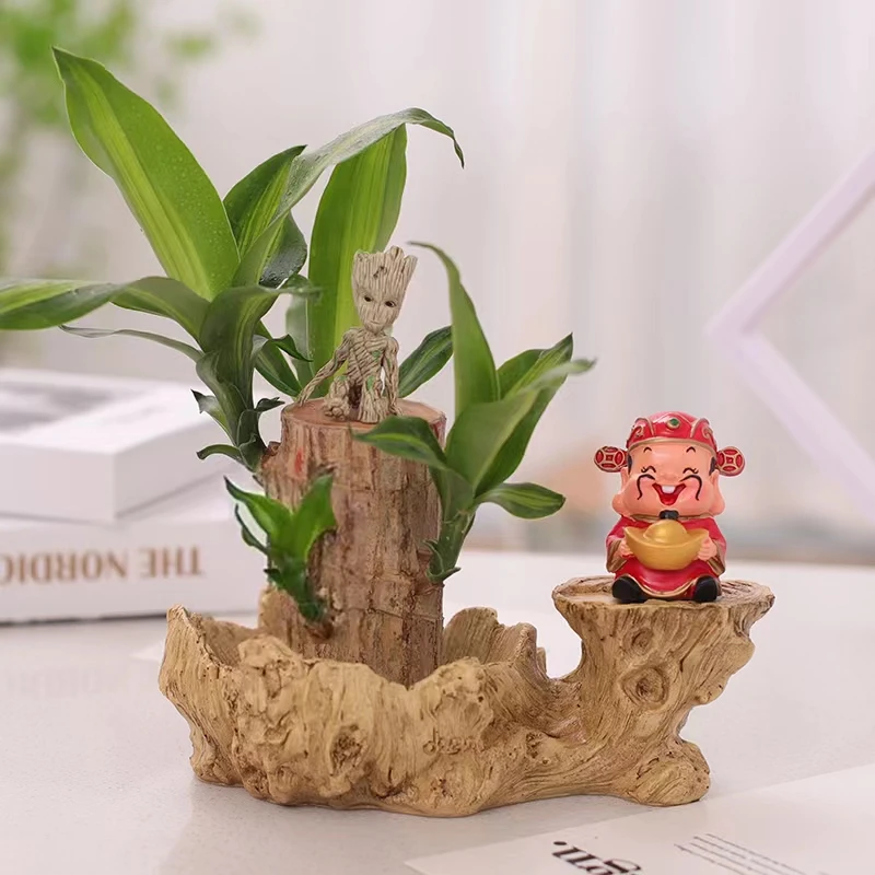 巴西木格鲁特水培植物幸运木室内桌面绿植盆栽水养四季好养包发芽