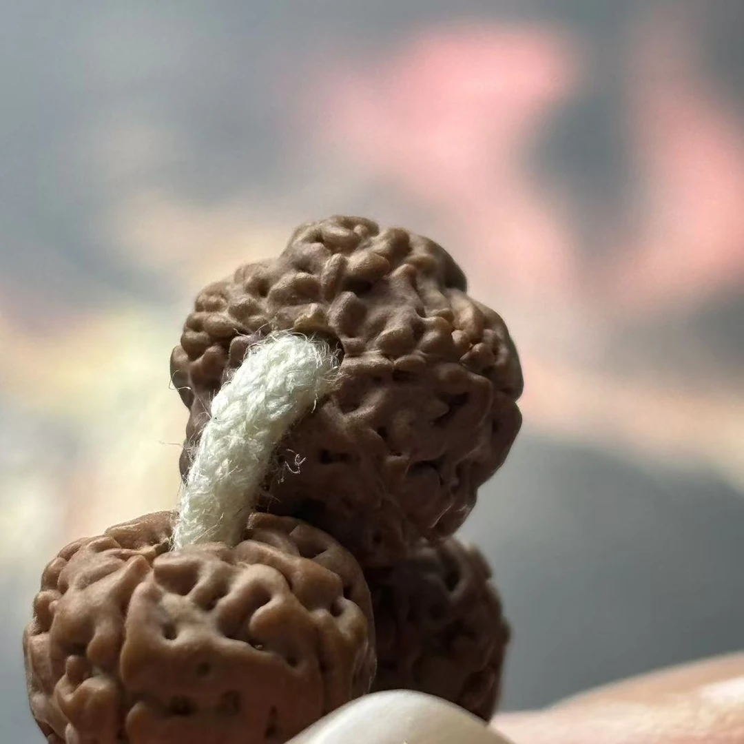 2.12《大嫂》老树籽矮桩平细108金刚菩提8-9左右+礼盒