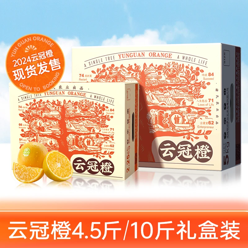 云冠橙褚氏农业出品云南原产地冰糖橙 4.5斤/10斤 橙子水果礼盒装