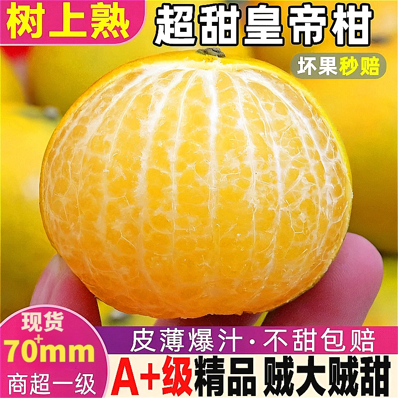 【新鲜现货】正宗皇帝柑新鲜橘子水果当季整箱桔子贡柑蜜桔3/5/8斤