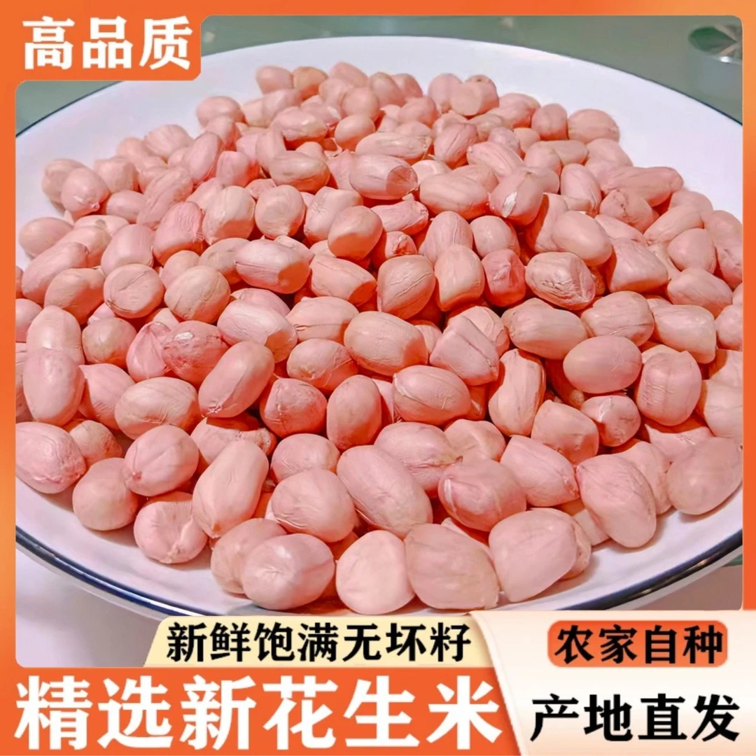 当季新鲜优质河南白沙花生米人工挑选新鲜生花生米食用榨油营养