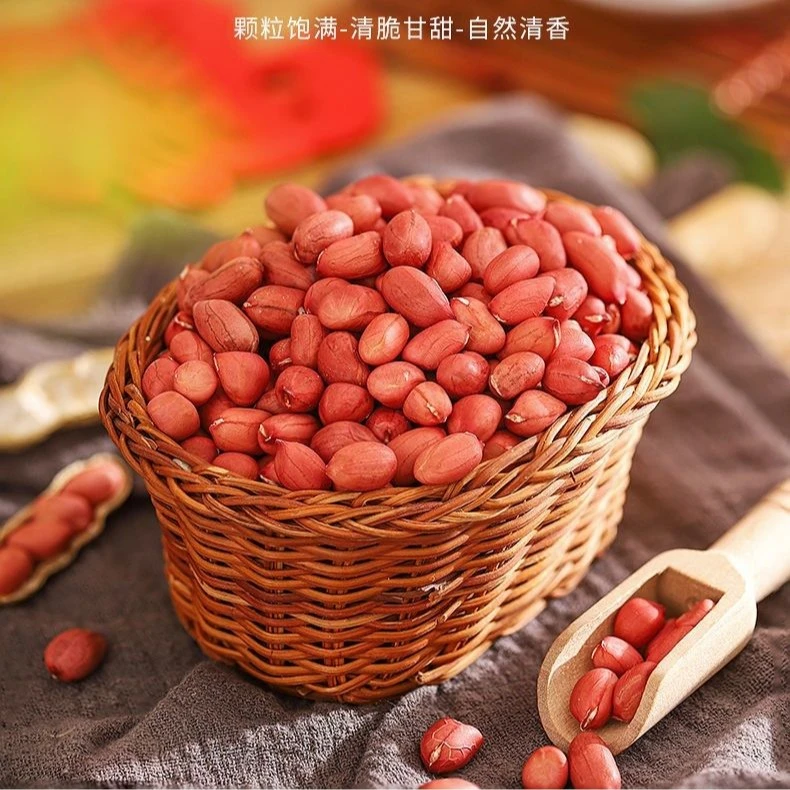 2024年当季东北红小颗粒红皮花生富含红衣素
