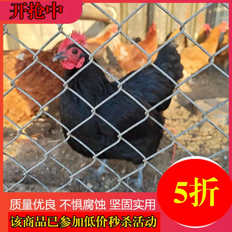 热镀锌铁丝网围栏户外养殖防护网养鸡养狗不生锈勾花网护栏隔离网
