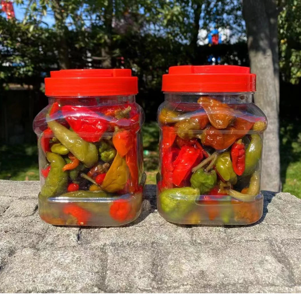 腌制整个土辣椒508/份正宗太湖土辣椒腌制开胃下饭菜