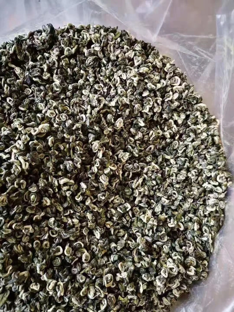 【张哥推荐】云南绿茶碧螺春大叶种绿茶云南绿茶