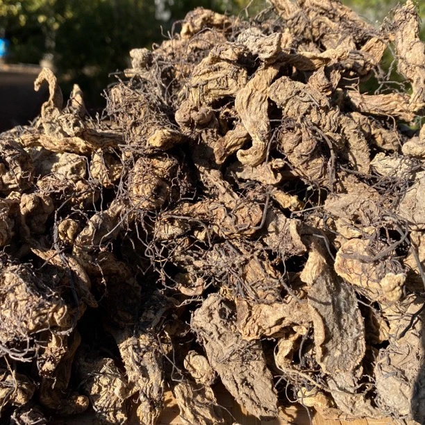 {艳子专属}【菌丝天麻】净含量 （250g-500g）