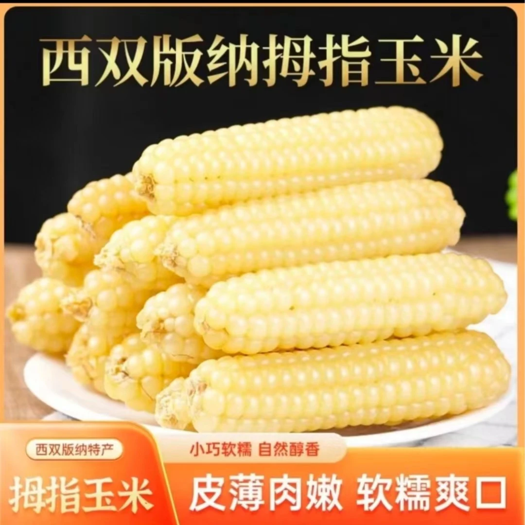 A果白糯拇指小玉米低脂香甜软糯宝宝辅食营养好吃代餐清甜粗粮