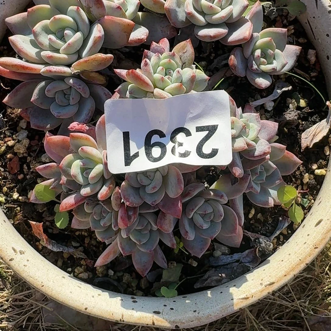 c**b1343464946644644