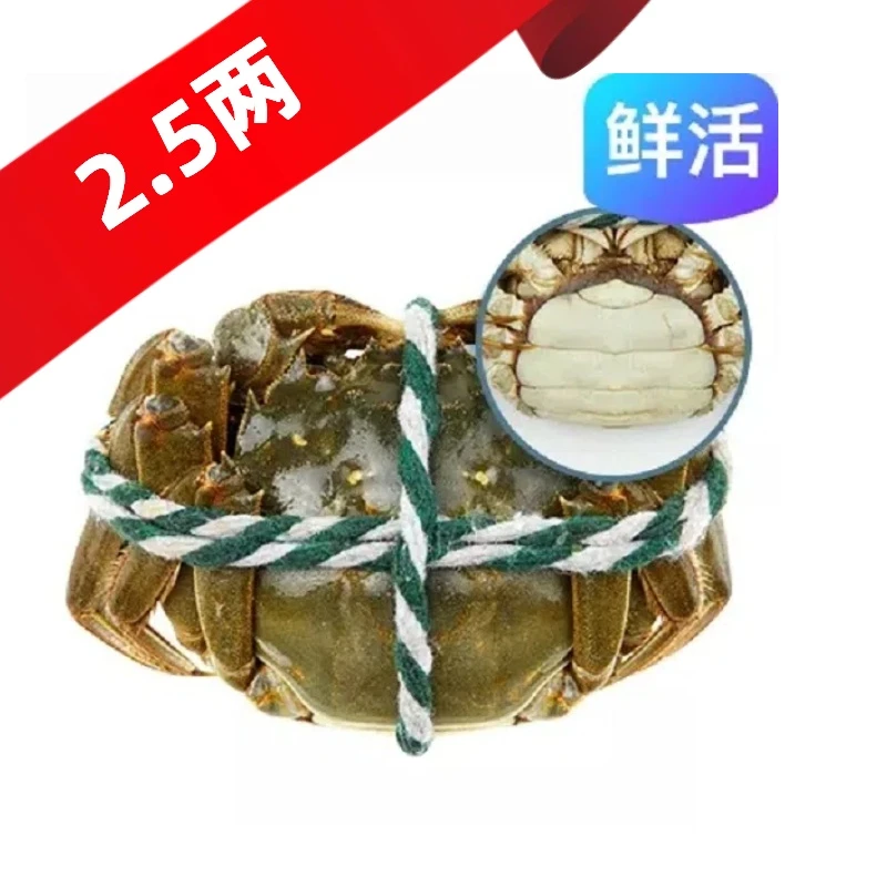 「精挑」鲜活母蟹（2.5两）/只