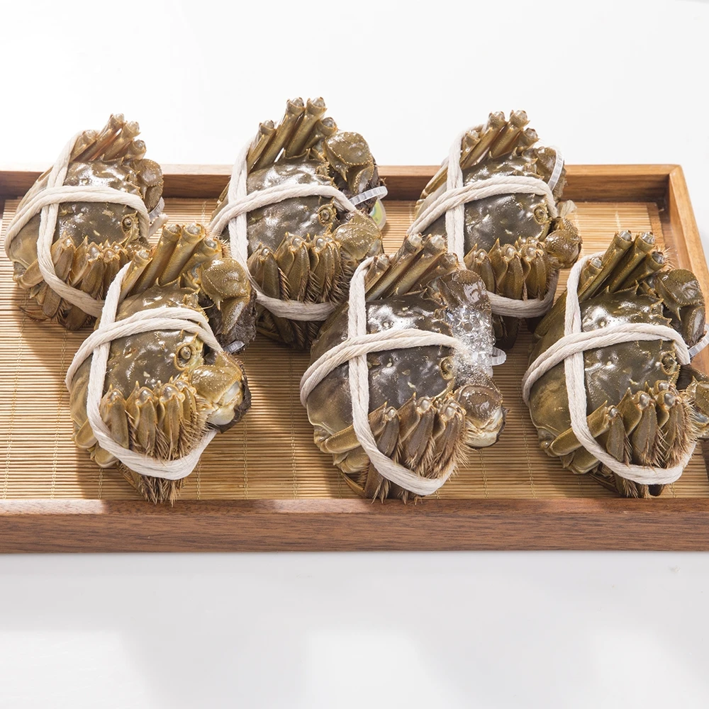 【送蟹醋】精选大闸蟹饱满2-2.3两全母4只/6只/8只/10只装送礼团购 包活