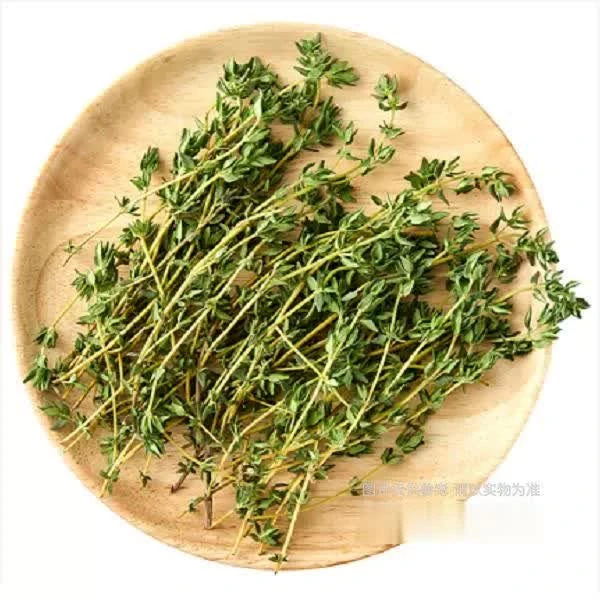 新鲜百里香 150g/包 西餐香料