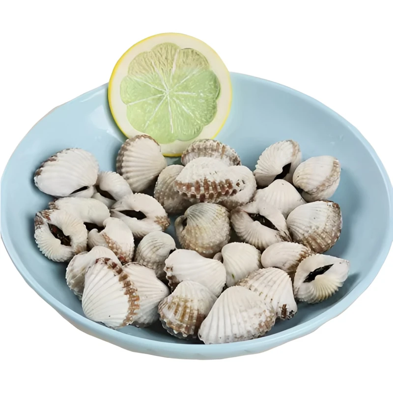 血蛤（鲜活）称重260g海鲜
