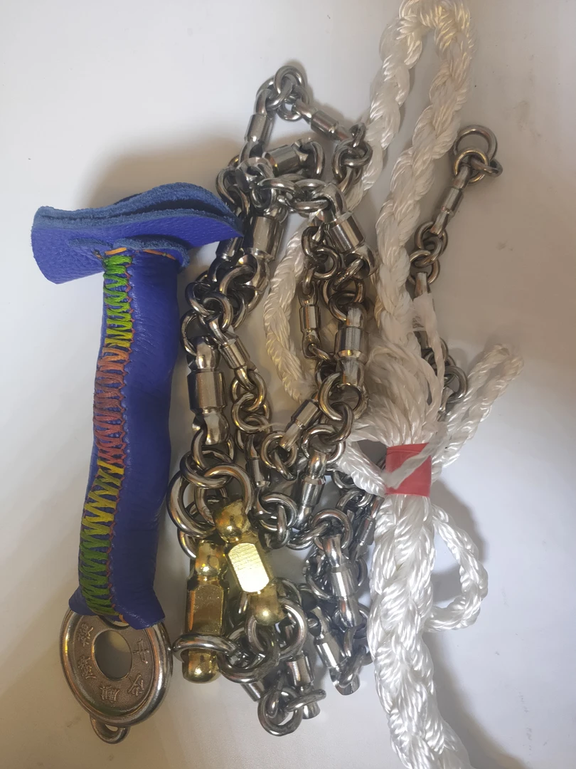 金刚柱实体鞭整鞭