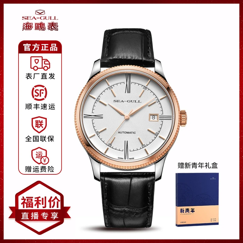 【达人专属】海鸥表18机芯新灵感6077设计师系列自动机械男表