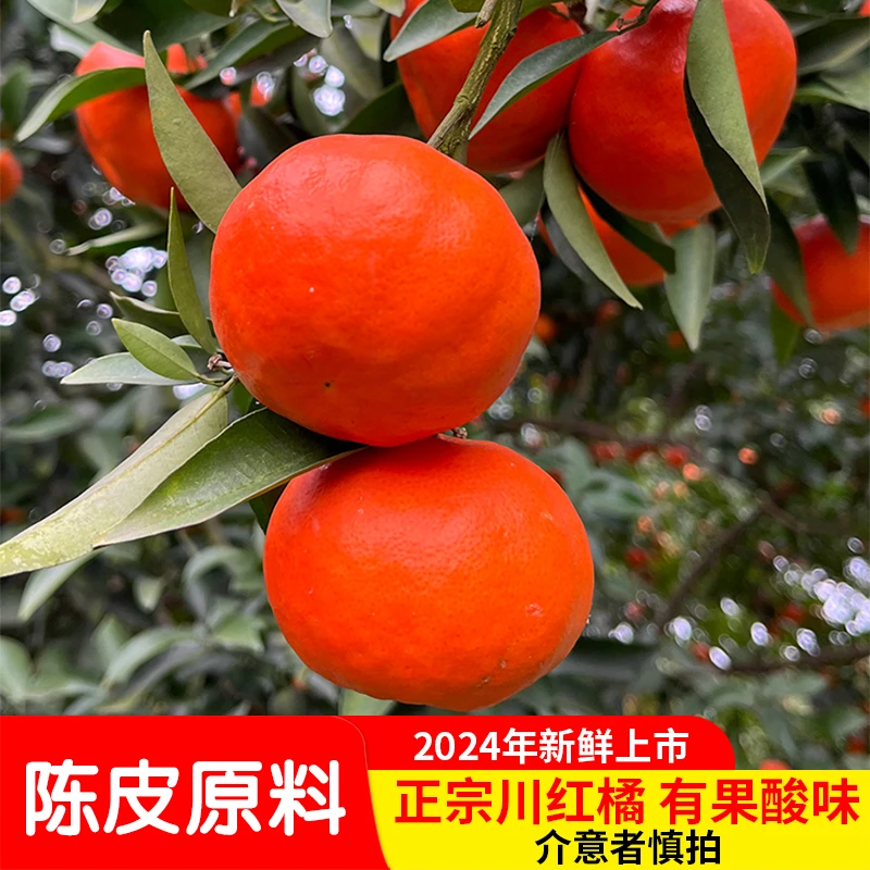 正宗万州古红橘川红桔大红袍柑陈皮原料现摘应季有籽柑橘3斤5斤
