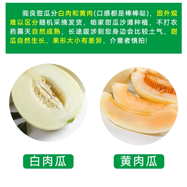 白肉红肉随机发  头茬正宗陕西阎良甜瓜脆瓜当季水果