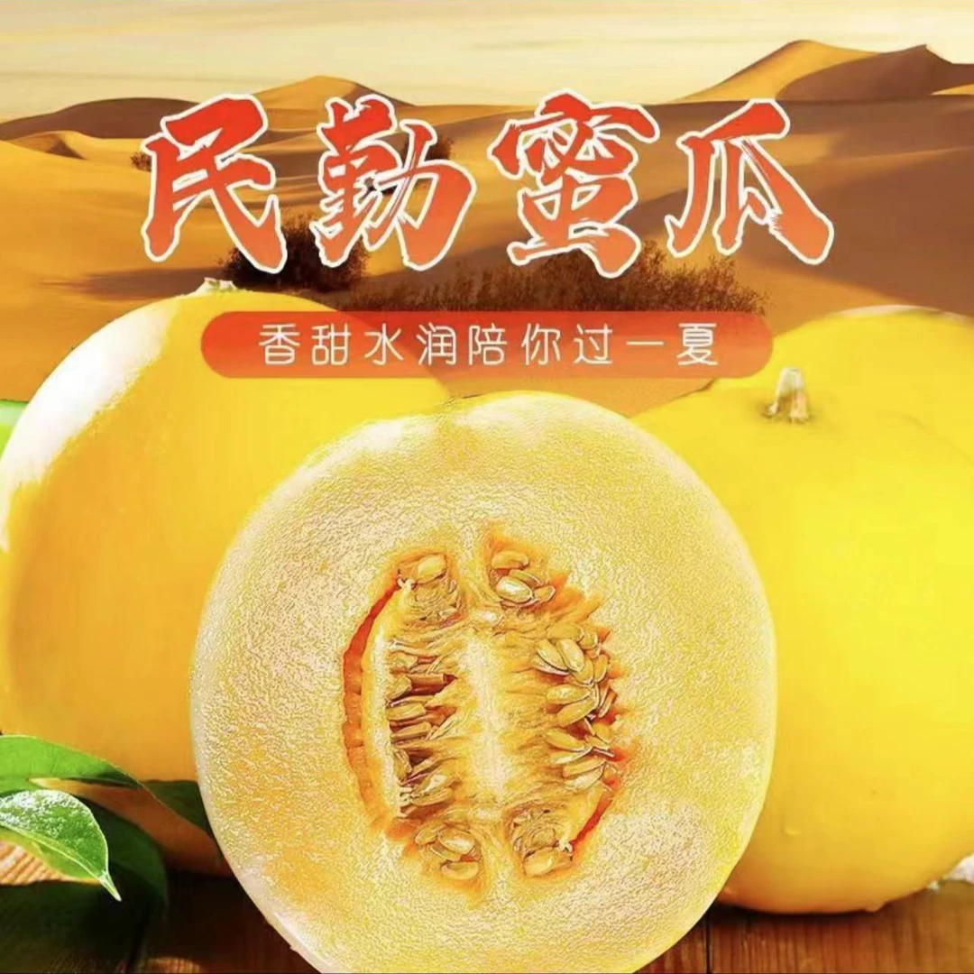 正宗民勤甜瓜蜜瓜5-6斤头茬新鲜大果