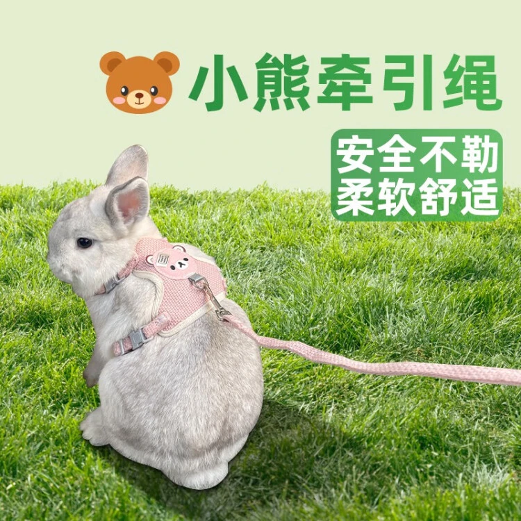 兔子牵引绳溜兔防挣脱牵遛绳子链子宠物小白侏儒兔专用外出绳用品