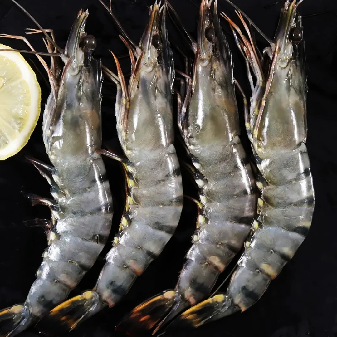 连云港发货 大个黑虎虾 8头规格 2斤/盒冷冻鲜虾深海速冻虾线食用