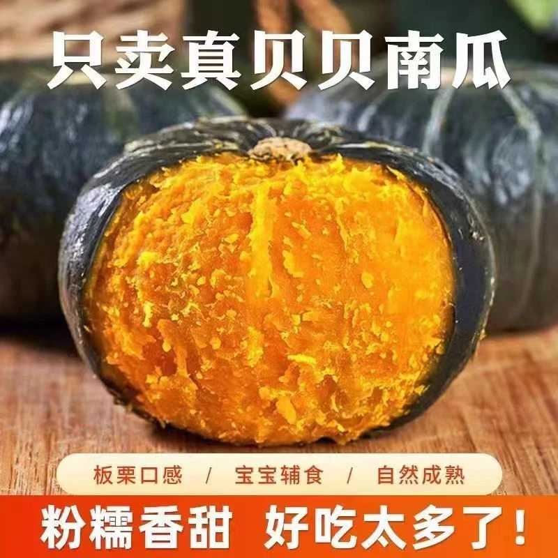 正宗贝贝板栗小南瓜5斤新鲜粉糯面香甜坏包退宝宝辅食精选自然