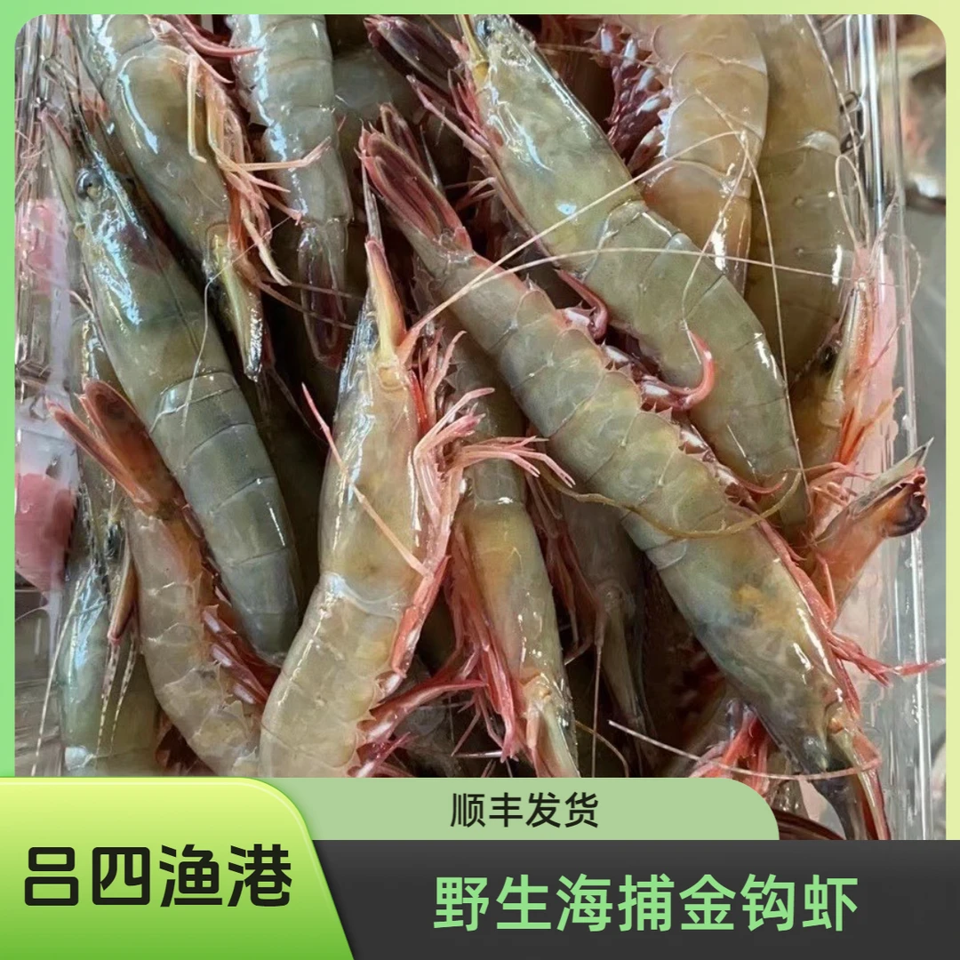 吕四渔港金钩虾条虾滑皮虾 冷冻保存专属产品
