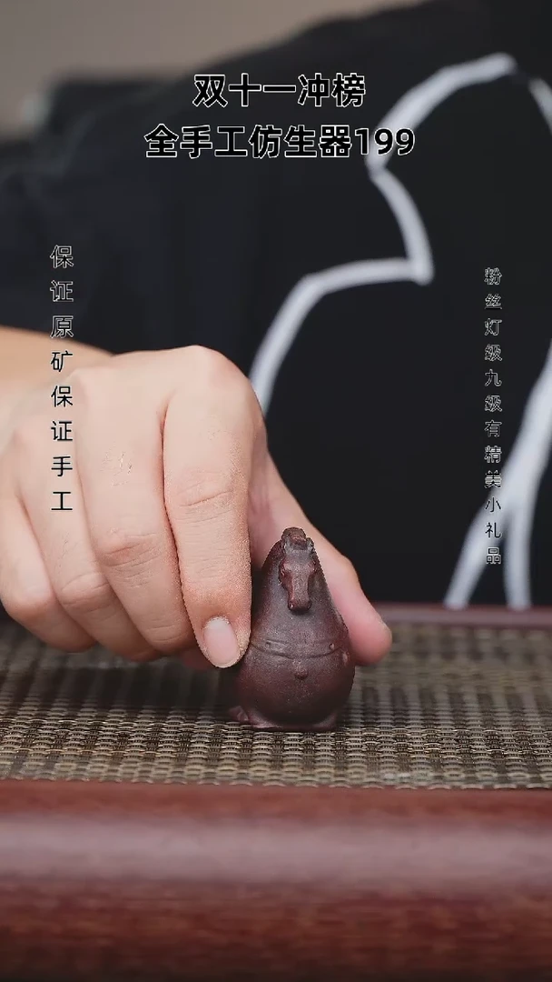 【闪购商品】紫砂茶壶紫砂茶壶