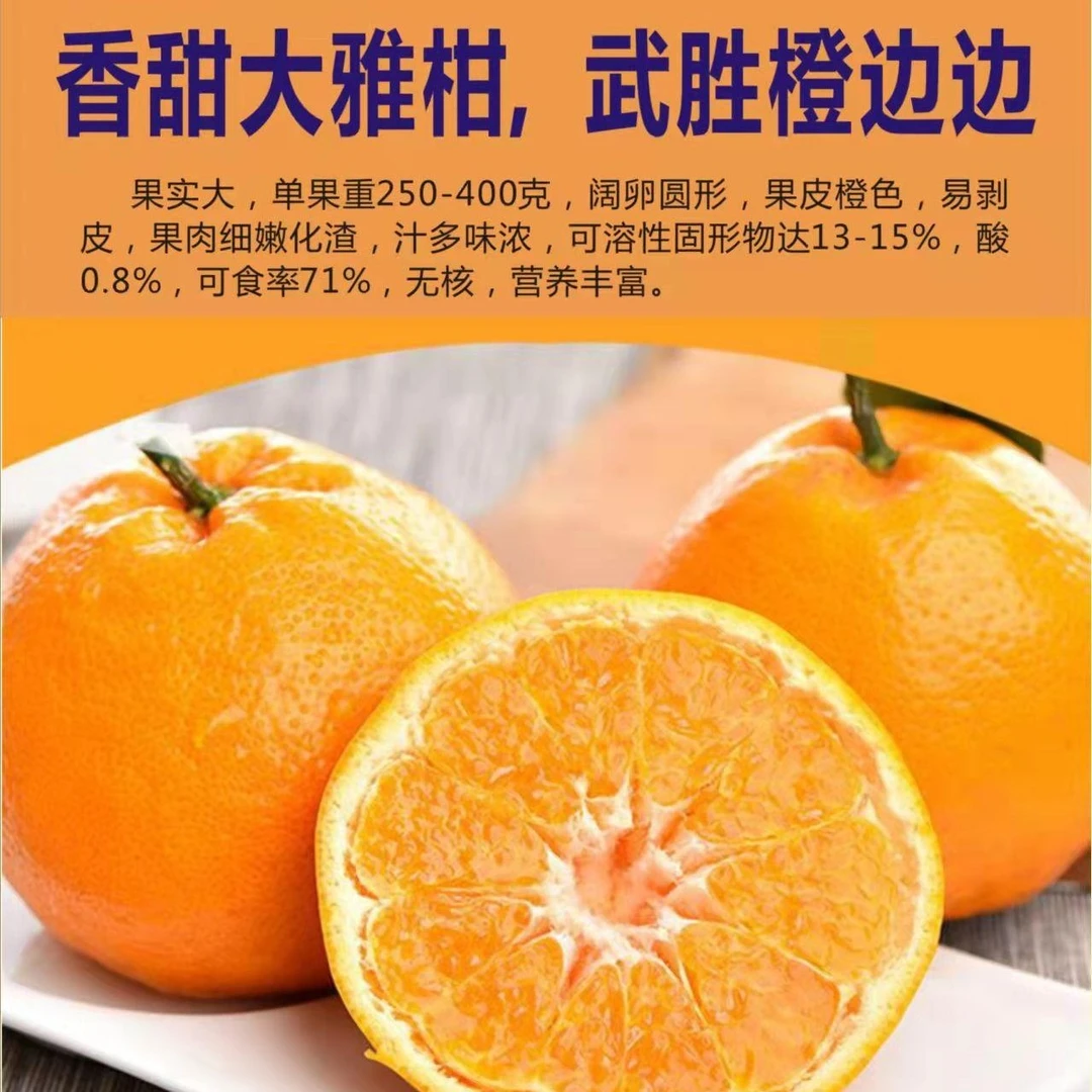 【大雅柑•特价】果径70～85mm，中果18个，带箱8斤。