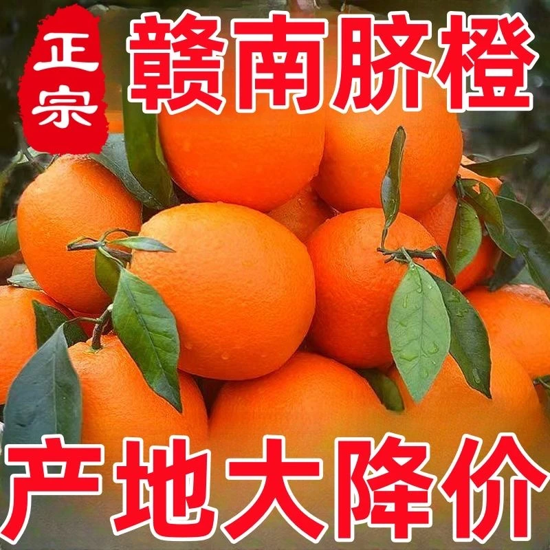 赣南脐橙新鲜应季水果果园现摘纯甜多汁3/5/9斤