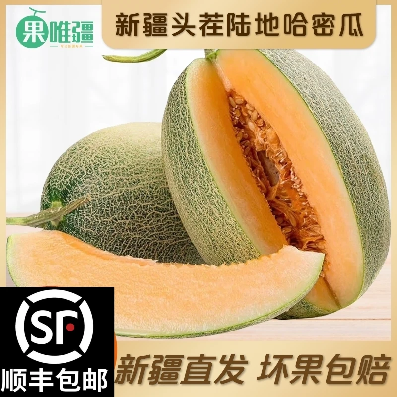 【新疆直发】新疆哈密瓜6-12斤头茬陆地瓜包邮西州蜜25号包赔