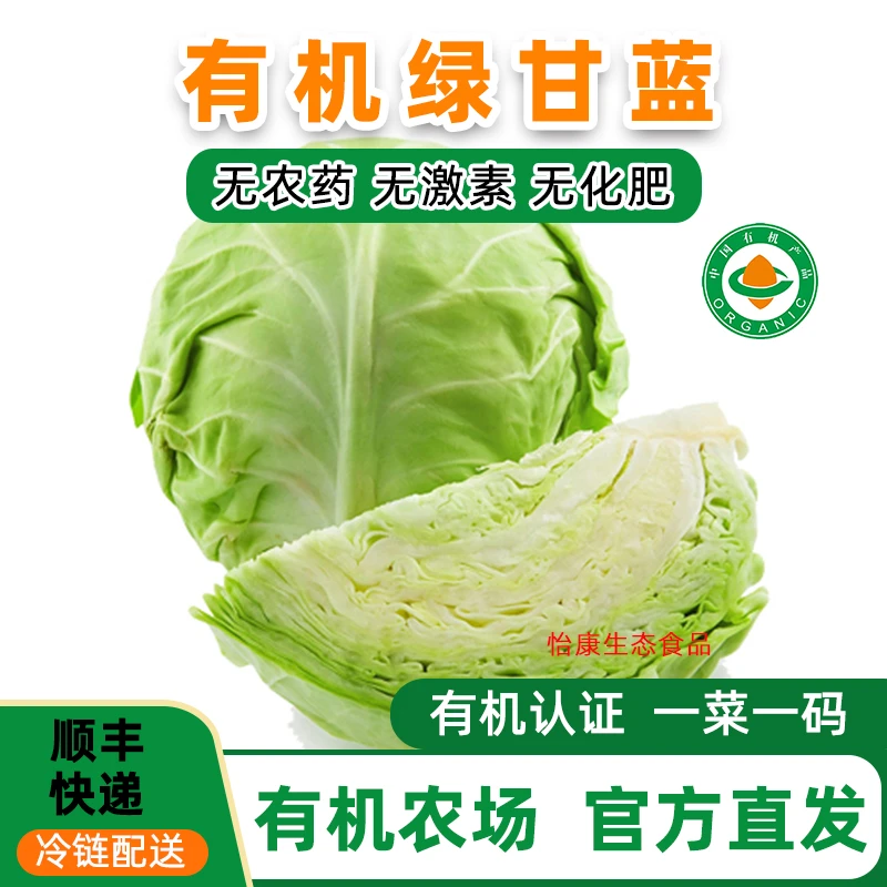 直供有机包菜绿甘蓝圆白菜1-5斤新鲜有机蔬菜大头菜卷心菜甘蓝