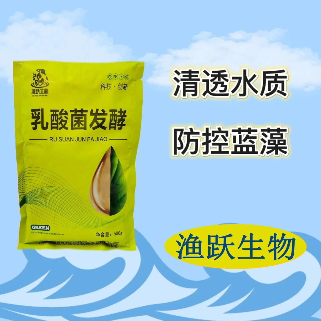 乳酸菌发酵500g调节藻相有益菌