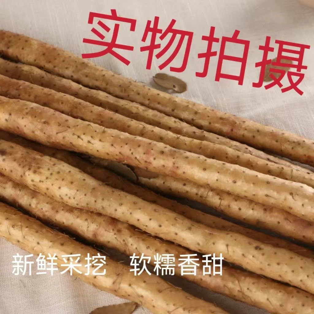 新鲜现挖铁棍麻山药75cm左右5斤装