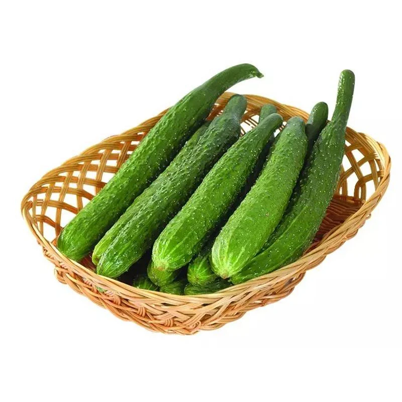 高原带刺黄瓜 约500g