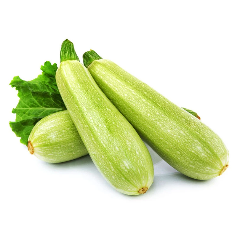 小南瓜南瓜同城送