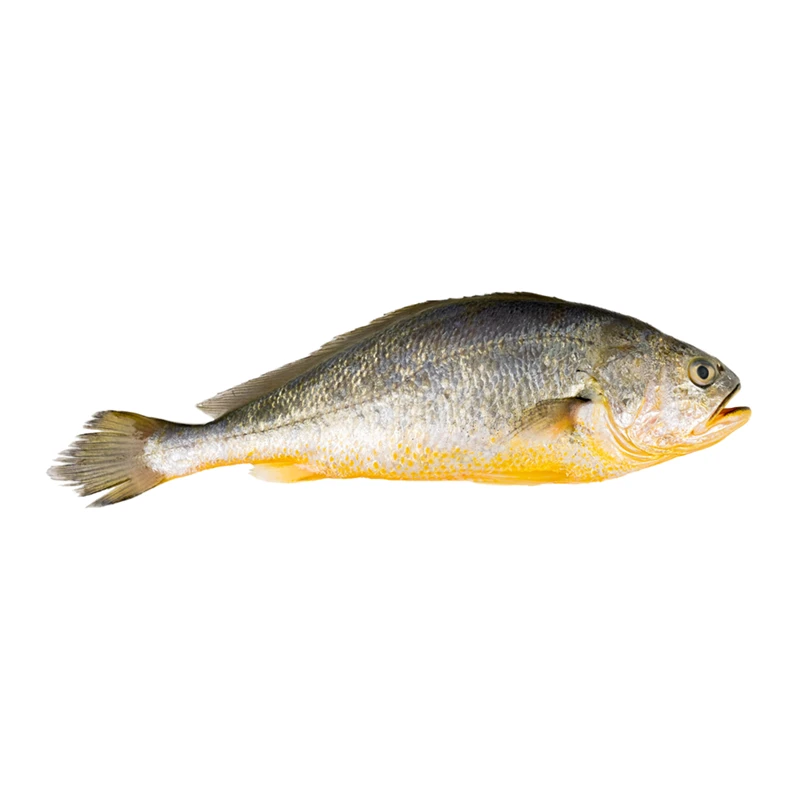 冰鲜黄鱼(条) 约450g