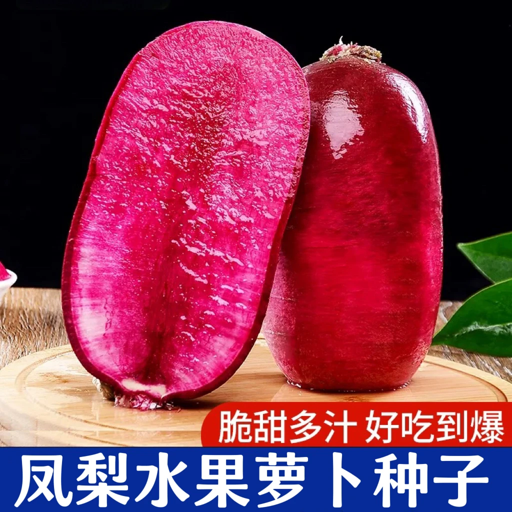 凤梨红心水果萝卜种子甜脆水果萝卜籽红皮红心春秋四季播蔬菜种籽