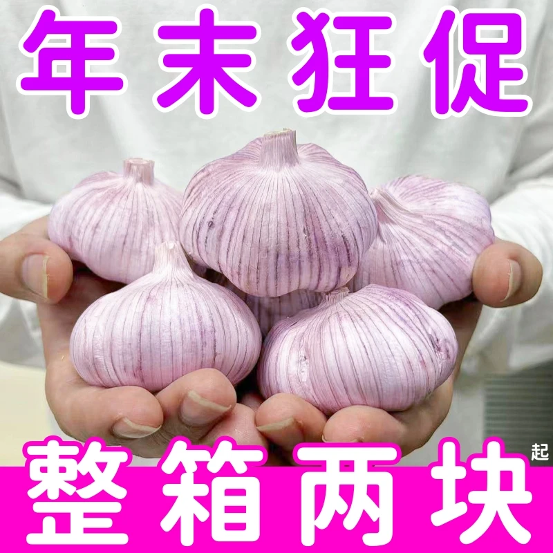 【太划算啦】紫皮干蒜金乡大蒜头批发干蒜大蒜头5-9斤干蒜大蒜包邮