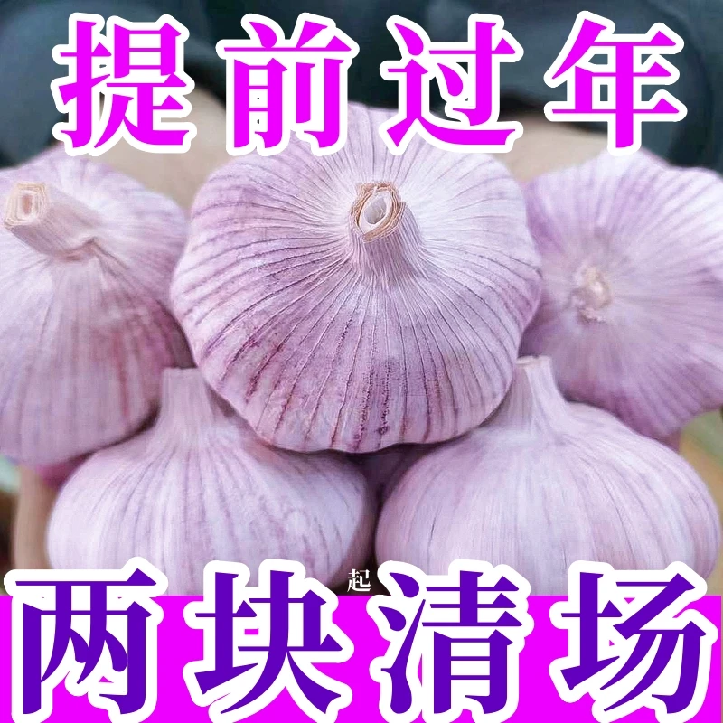 【蒜农直卖】金乡大蒜紫皮干蒜批发多瓣蒜头3-5斤干蒜大蒜批发包邮