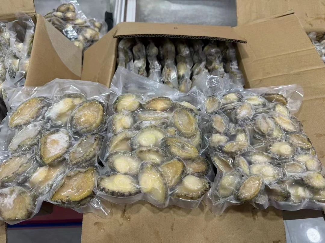 南日岛新鲜速冻鲍鱼肉顺丰包邮收到放冰箱冷冻