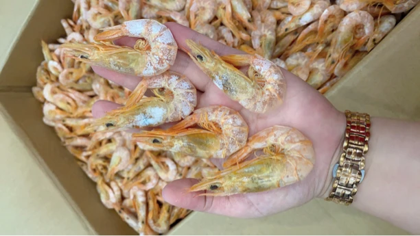 尖头下头尖壳硬好吃