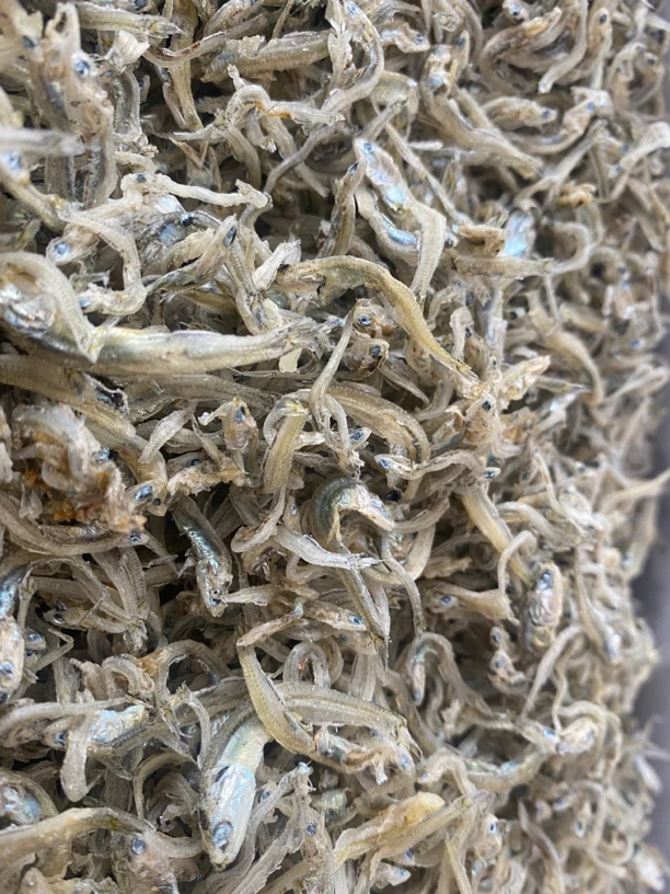 福建丁香鱼一斤装