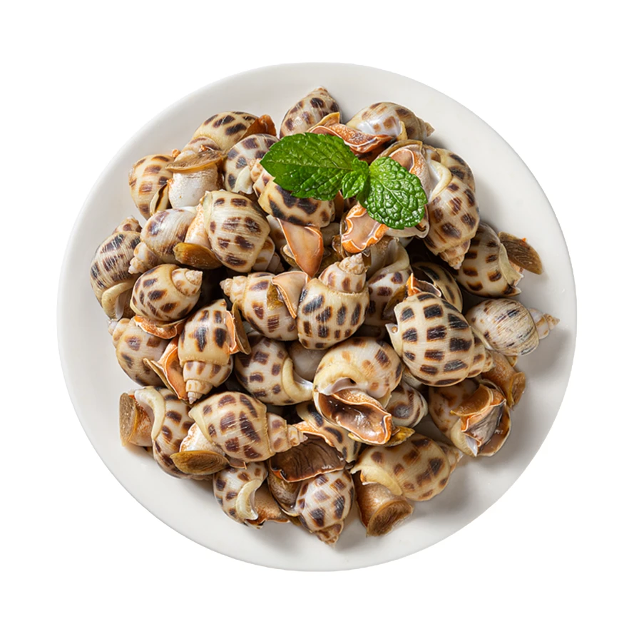 海南花螺500g/份